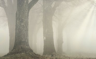 Uwaga! Gęsta mgła. Jest ostrzeżenie meteorologów