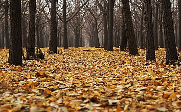 Spadek ciśnienia [POGODA]