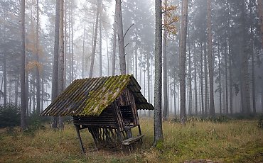 Wiatr i mgła [POGODA]