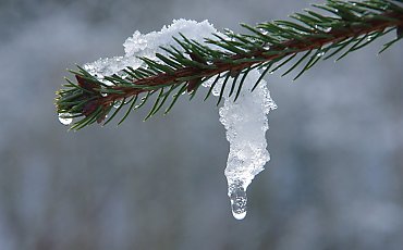 Odwilż i ciepłe powietrze atlantyckie [POGODA]