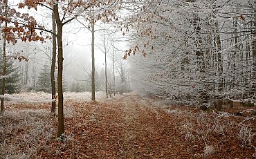 Pełzająca zima [POGODA]