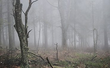 Spadek ciśnienia [POGODA]