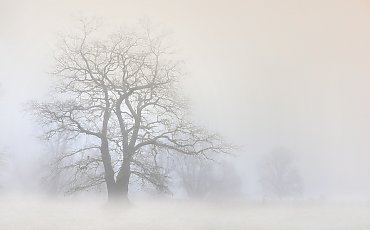 Mgły i deszcze [POGODA]