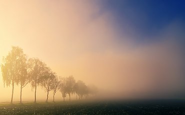 Silne mgły [POGODA]