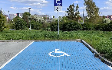 Nietrzeźwa kierująca i sfałszowana karta parkingowa. Straż Miejska podsumowuje interwencje