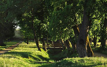 Słoneczny czwartek [POGODA]