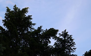 Nad całą Polską niebo jest bezchmurne! [POGODA]