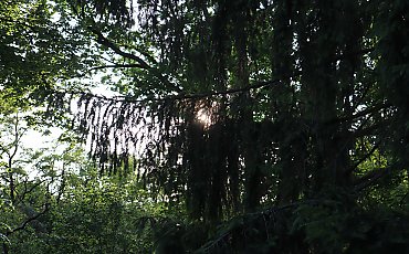 Niestabilnie, czyli zmiennie [POGODA]