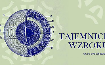 Nie uwierzysz, co potrafi ludzkie oko! Nowa wystawa w centrum Bydgoszczy otwiera oczy na świat!