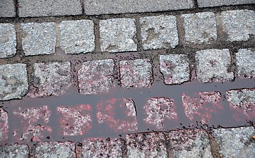 Napastnik, który usiłował zabić kobietę w Toruniu był obcokrajowcem. Są reakcje polityków!