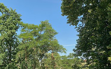 Cyrkulacja zachodnia [POGODA]