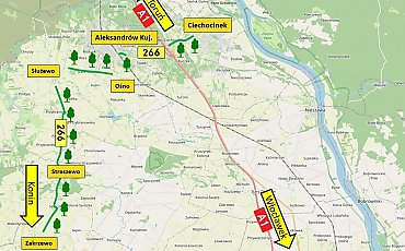 440 drzew wraca przy ważnej drodze! Nowa aleja zamiast betonu