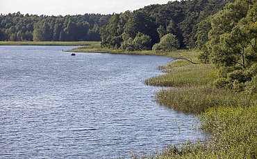 Wakacyjny raj tuż za rogiem! Dziesiątki jezior, ptaki zagrożone wyginięciem i światowy unikat niedaleko Bydgoszczy