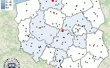 Wakacje dopiero na półmetku, a już zginęło ponad 150 osób na drogach!
