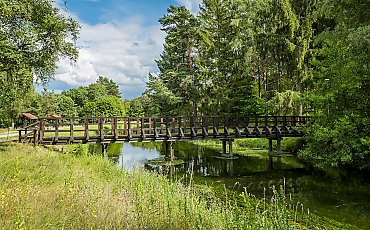Grzyby, kajaki i średniowieczne grodzisko. Tucholski Park przyciąga tłumy z Bydgoszczy [GALERIA ZDJĘĆ]