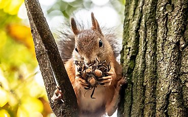 Przejaśnienia i rześkie powietrze [POGODA]