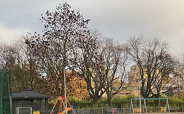 Pogodnie, bez opadów [POGODA]