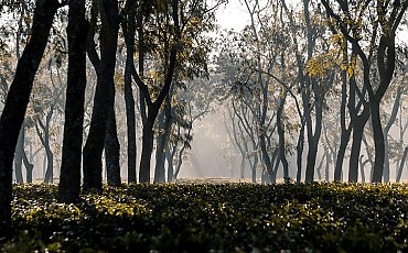 Słonecznie z umiarkowanym wiatrem nad Bydgoszczą [POGODA]