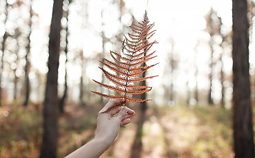 Pochmurno i chłodno, ale niedługo nastąpi zmiana [POGODA]