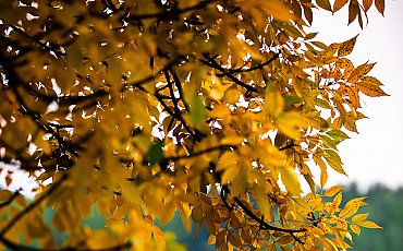 Pochmurno i wietrznie [POGODA]