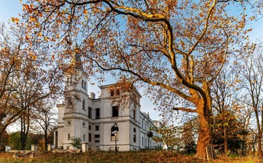 Wielkie plany: Pałac Kronenbergów w Wieńcu zyska nowe życie!