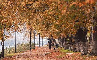 Pochmurno i wilgotno, przelotny deszcz [POGODA]