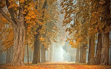 Chłód i wiatr z zachodu [POGODA]