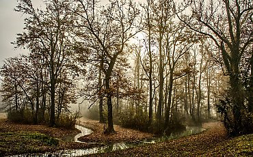 Pochmurno i wietrznie, bez istotnych opadów [POGODA]