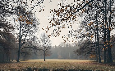 Chłodno i bardzo pochmurno, miejscami mżawka [POGODA]