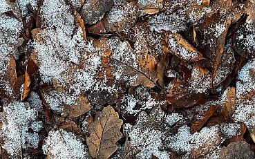 Chmury i opady mieszane nad Bydgoszczą [POGODA]