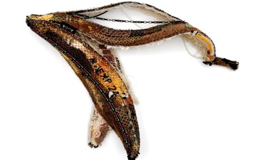 „Apetyty” w Bydgoszczy: sztuka, konsumpcja i ciało