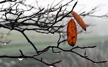 Chmury i przelotne opady w Bydgoszczy – 48 godzin [POGODA]