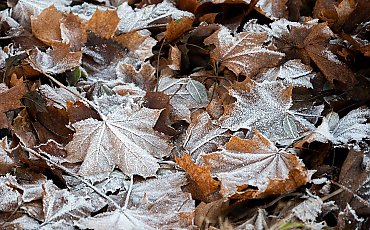 Przeważnie pochmurno, bez opadów — niewielkie ocieplenie możliwe jutro [POGODA]