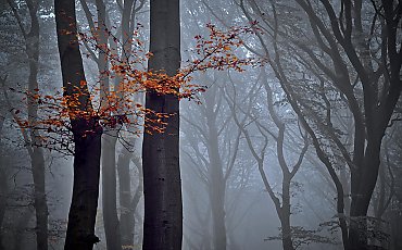 Pochmurno i chłodno w Bydgoszczy, możliwy przymrozek [POGODA]