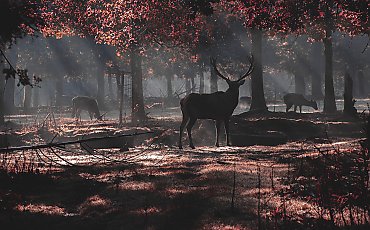 Chłodne i bardzo pochmurne 48 godzin nad Bydgoszczą [POGODA]