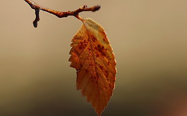 Przeważnie zachmurzenie i sucho [POGODA]