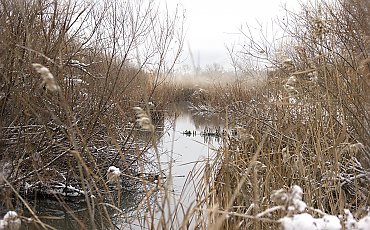 Duże zachmurzenie i przelotne opady [POGODA]
