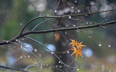 Bydgoszcz: przeważnie pochmurno, łagodne temperatury [POGODA]