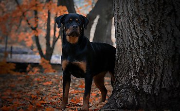Ostatni ciepły dzień [POGODA]