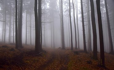 Zachmurzenie i wiatr, bez opadów [POGODA]