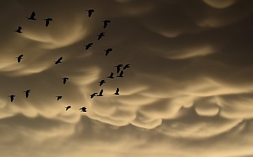 Szare niebo i chłodny południowy wiatr nad Bydgoszczą [POGODA]