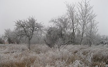 Chłodne noce, łagodne popołudnia [POGODA]