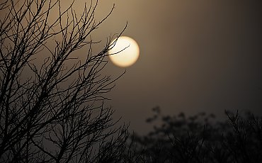 Całkowite zachmurzenie i słabe opady [POGODA]