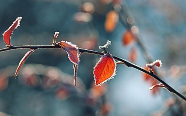 W Boże Narodzenie może być ładna pogoda, ale bez śniegu [POGODA]