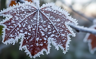 Mroźne, pogodniejsze dwa dni [POGODA]