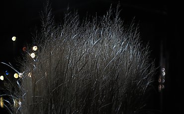 Chmury i chłód, wiatr z zachodu [POGODA]