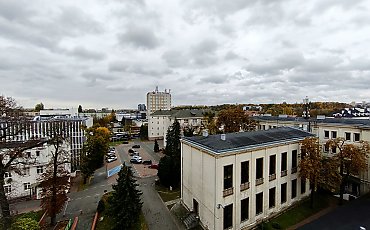 Wiatr z południowego zachodu, chłodno i mokro [POGODA]