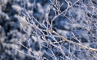 Mroźne noce, chłodne dni bez opadów [POGODA]