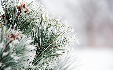 Przed nami prawdziwie zimowe dni i mroźna noc