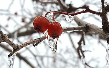 Chłodno i z marznącym deszczem - najbliższe dni mogą przysporzyć problemów bydgoskim kierowcom 